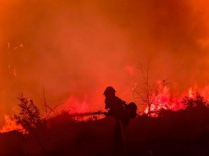Kaliforniya’da Orman Yangını Evleri Küle Çevirdi