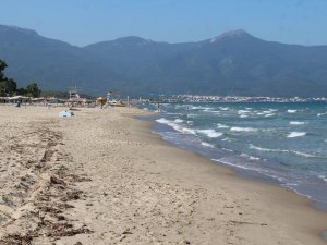 Kuşadası Sahillerine Caretta Carettalar Yuva Yaptı