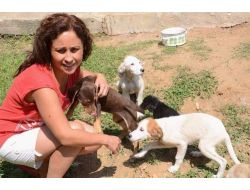 Kara Yolunda Ölüme Terk Edilen Yavru Köpeklere Sahip Çıktı