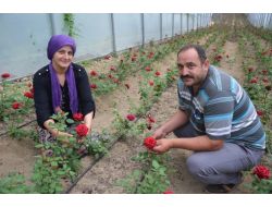 Fındığı Söküp Kesme Çiçekçiliğe Başladı