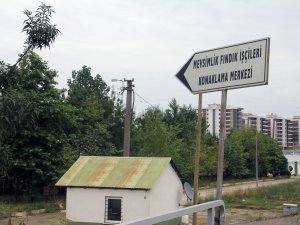 Mevsimlik Fındık İşçileri İçin Pandemi Koşullarına Uygun Konaklama Merkezi Hazırlandı