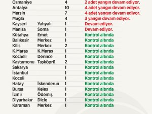 Tarım Ve Orman Bakanı Pakdemirli, Orman Yangınlarına İlişkin Son Bilgileri Paylaştı