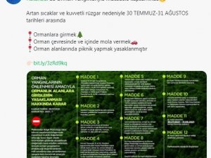 İ̇stanbul’da Ormanlara Giriş 1 Ay Boyunca Yasaklandı
