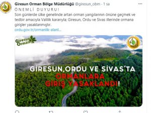 Giresun, Ordu Ve Sivas İllerinde Ormana Girmek Yasaklandı