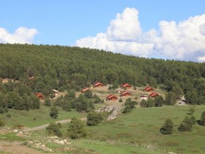 Erzincan’da Ormanlık Alanlara Girişler 15 Eylül’e Kadar Yasaklandı
