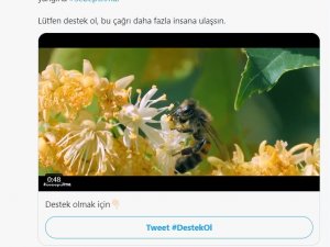 Orman Genel Müdürlüğü’nden Farkındalık Paylaşımı