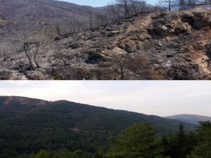 Marmaris’in Yangın Öncesi Ve Sonrası Havadan Görüntüleri, Felaketin Boyutunu Gözler Önüne Serdi