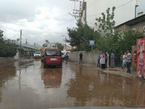 Van’da Sel