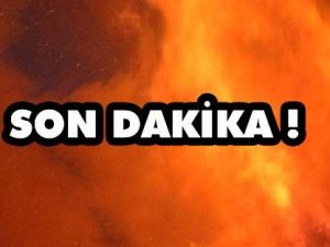 Tarım Ve Orman Bakanı Pakdemirli’den Önemli Açıklamalar