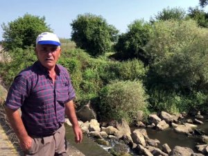 Saklı Cennet ’Acarlar Longozunu’ Besleyen Derelerde Balık Ölümleri Çoğaldı