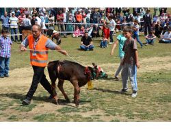 14. Çambaşı Yayla Şenliği Renkli Başladı
