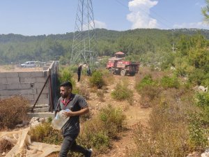Alanya’daki Orman Yangını Hızlı Müdahale İle Söndürüldü