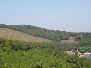 Heybeliada’da 1 Yıl Önce Yangında Kül Olan Alanın Değişimi Havadan Görüntülendi