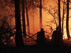 Polonya’dan Yangınla Mücadele Eden Türkiye’ye Destek
