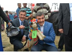 Çambaşı'nda Şenlik Coşkusu