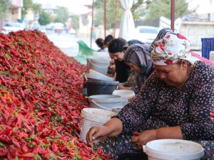 Kadınların ’En Acı’ Mesaisi