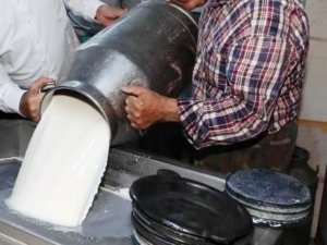 Toplanan İnek Sütü Miktarı Yüzde 1,8 Arttı