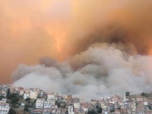 Cezayir’deki Orman Yangınlarında Ölenlerin Sayısı 65’e Yükseldi