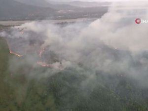 Azerbaycan’da Ormanlık Alanda Yangın