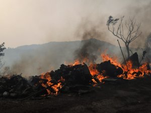 Yunanistan’da Yaklaşık 100 Bin Hektarlık Alan Yandı