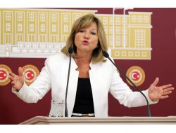 Chp’li Serter’den Güneydoğu’da Açılan Korsan Okullara Sert Tepki