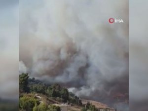 İ̇srail’in Lübnan Sınırı Yakınında Orman Yangını