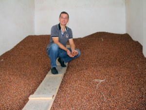 Serbest Piyasada Fındık Fiyatı 26 Liraya Yükseldi