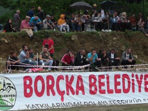 Artvin’de Boğalar Çamur Deryasında Güreşti