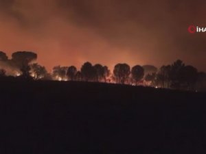 Fransa’nın Güneyinde Orman Yangını