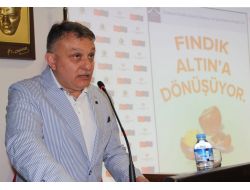 Fındıkta İç Tüketim Durdu, İhracat Düştü, Fiyatlar Geriledi