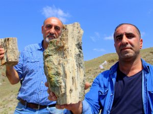 Erzurum’da 160 Milyon Yıllık Keşif
