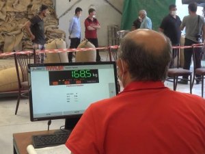 2021 Yılı Fındık Alımları 1 Eylül’de Başlıyor