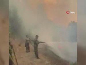 Azerbaycan’da Orman Yangını
