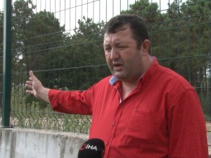 Mahalle Muhtarından İ̇bb’ye Tepki: “Onlarca Hayvanın Açıkta Kalmış Cesetleri Buradaydı”