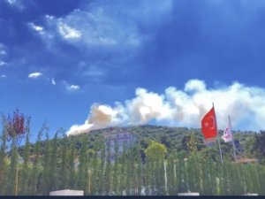 Heybeliada’da Ormanlık Alanda Yangın Çıktı