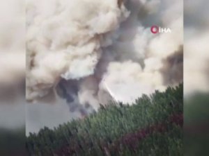 California’daki Orman Yangını Devam Ediyor: 700 Ev Küle Döndü