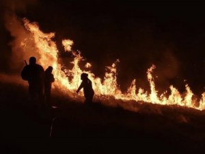 Brezilya’da Dilek Fenerinin Düştüğü Parkta Yangınla Mücadele Sürüyor