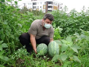 Üretim Az Olunca Değeri Daha Da Arttı