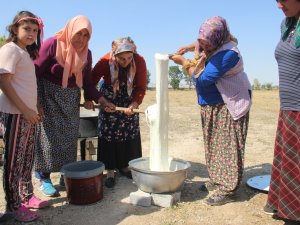 Kadınlar El Ele Verip 8 Çeşit Peynir Üretti
