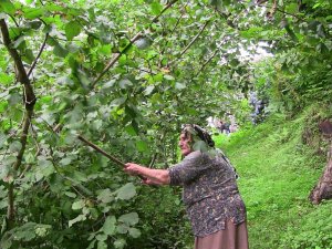 Şiddetli Yağmurda İstinat Duvarı Böyle Çöktü