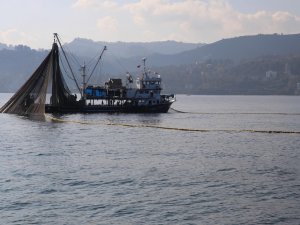 Denizlerde Av Sezonuna İlişkin Hususlar Belirlendi