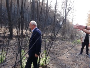 Kılıçdaroğlu Marmaris’te Evleri Yanan Aileyi Ziyaret Etti, Yeşillenen Bir Ağacın Fotoğrafını Çekti
