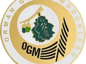 Ogm: “Bugün Çıkan 7 Orman Yangınının Tamamını Kontrol Altına Aldık”