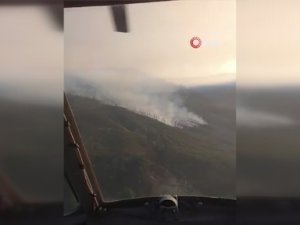 Azerbaycan’ın Gebele İlinde Orman Yangını Çıktı