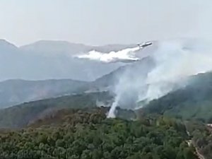 2 Helikopter Ve 1 Uçağın Müdahale Ettiği Tunceli’deki Orman Yangınının Yüzde 95’i Söndürüldü