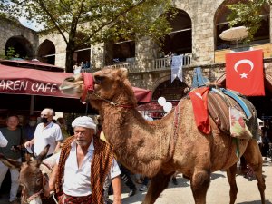6 Asırlık Handa Develi Koza Mezadı