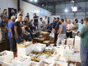 Denizde Av Sezonu Açıldı, Antalya’da İlk Balıklar Kapış Kapış Satıldı