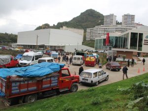 Tmo Giresun’da Fındık Alımlarına Başladı