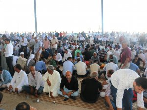 İ̇ki Aşiret Arasında Taşlı Sopalı Kavga İle Başlayan Husumet Sonlandırıldı