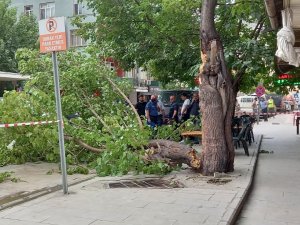 Artvin’de Şiddetli Rüzgar Etkili Oldu